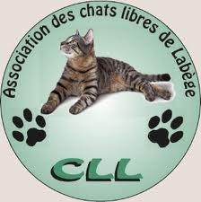 Bannière CLL