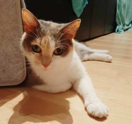 BIANCA