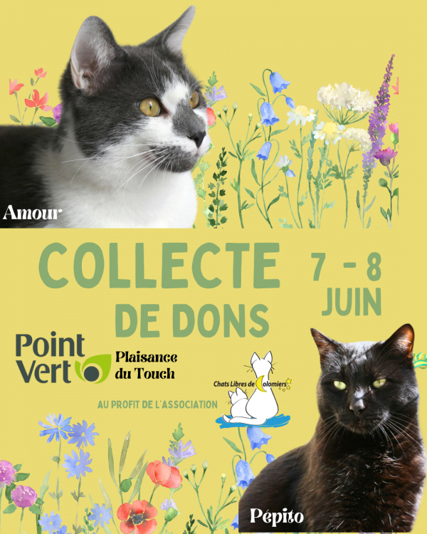 Actualité CLC