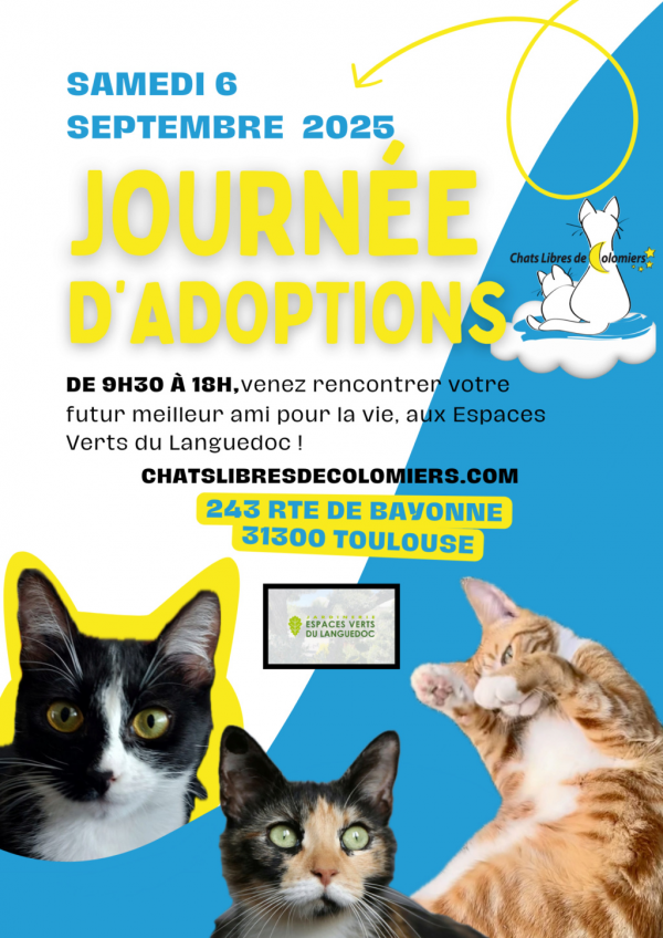 Actualité CLC