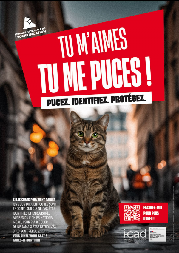 Actualité CLC