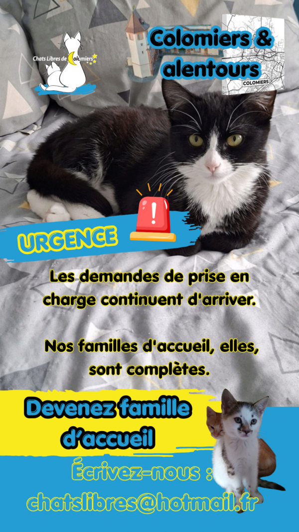 Actualité CLC